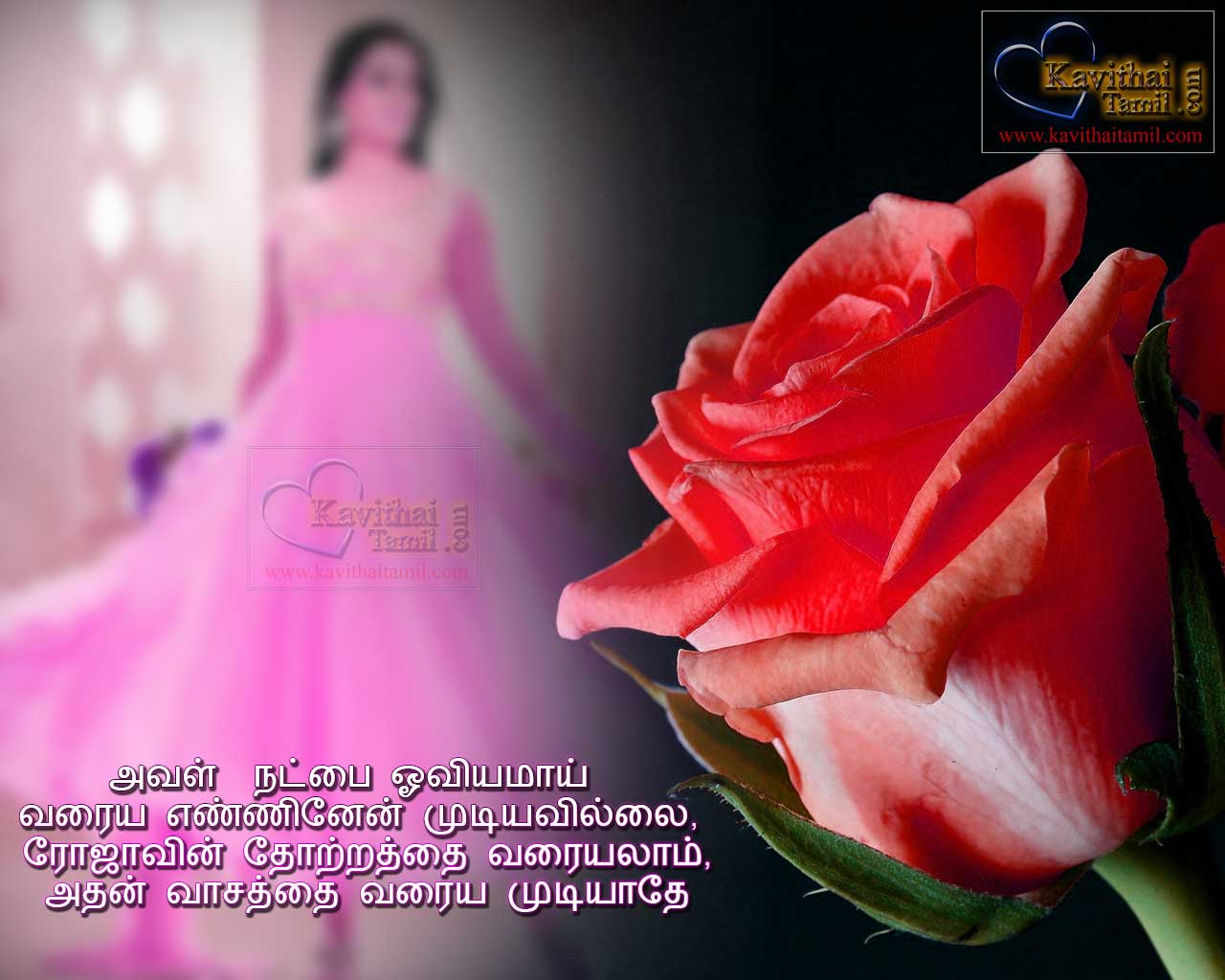 Friendship Forever Quotes In Tamil Long Distance Friendship Girls Tamil Natpu Kavithaigal With Rose