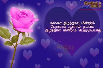 Tamil Natpu Kavithai With Roja (Rose) Flower Images Beautiful And Cute Friendship Kavithaigal