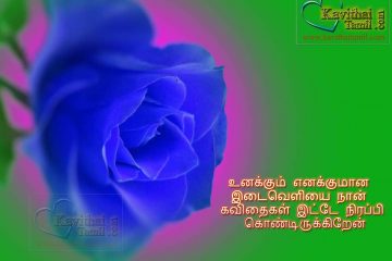 Tamil Anbu Kathal Love Kavithai For Missing And Breakup Lovers With Beautiful Roja Lines Images Pirivu