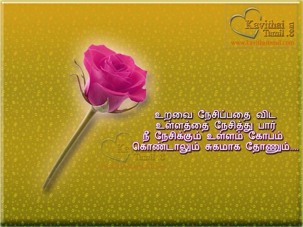 Friendship Quotes With HD Rose Pictures In Tamil About Friendship Love Kavithaigal