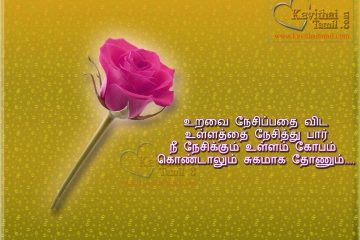 Friendship Quotes With HD Rose Pictures In Tamil About Friendship Love Kavithaigal