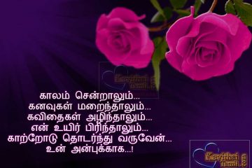 True Friendship Never Breaks Friendship Quotes in tamil kavithai with beautiful rose pictures and lines