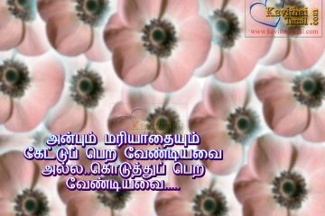 Tamil Kavithaigal About Anbum Mariyathayum Beautiful Tamil Kavithai Varigal (lines) With pictures
