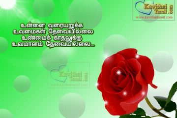 Tamil Cute Love Kavithaigal Images WIth Rose Flowers Best Kathal Kavithaigal