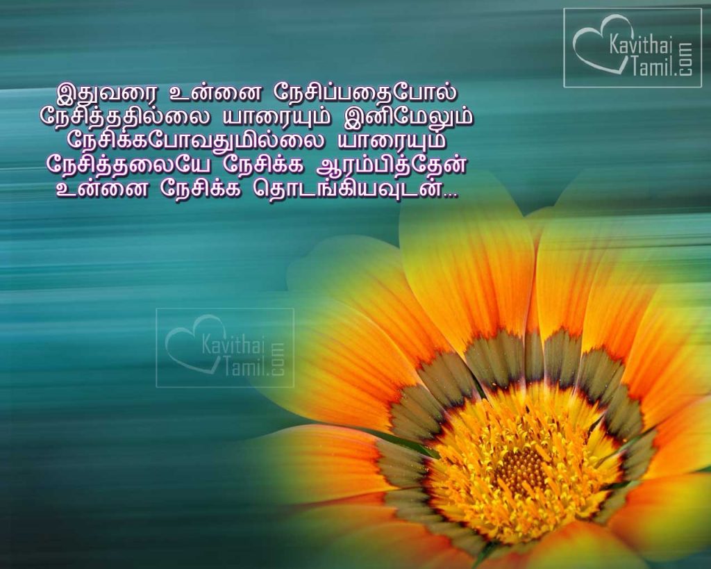 Sweet First Love Tamil Kavithaigal About Boys Love For Girl Love Sms With Hd Images For Facebook Share