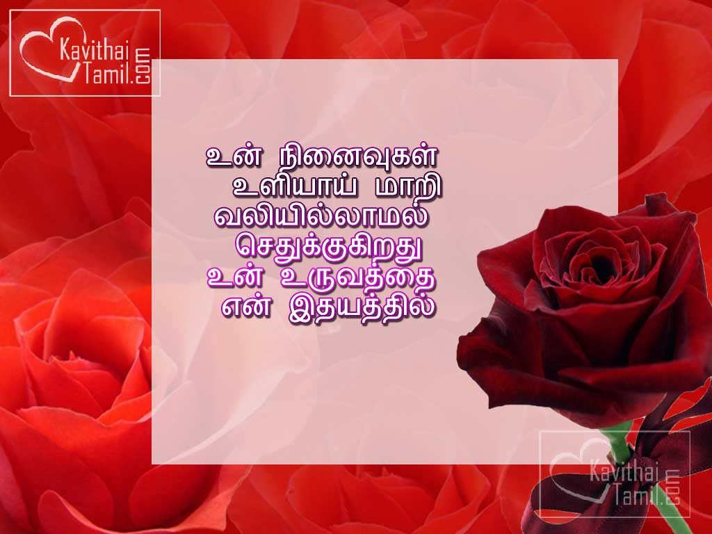 Best Tamil Pirivu Kadhal Kavithai Images Download Wallpaper With High Quality Rose Background Pictures
