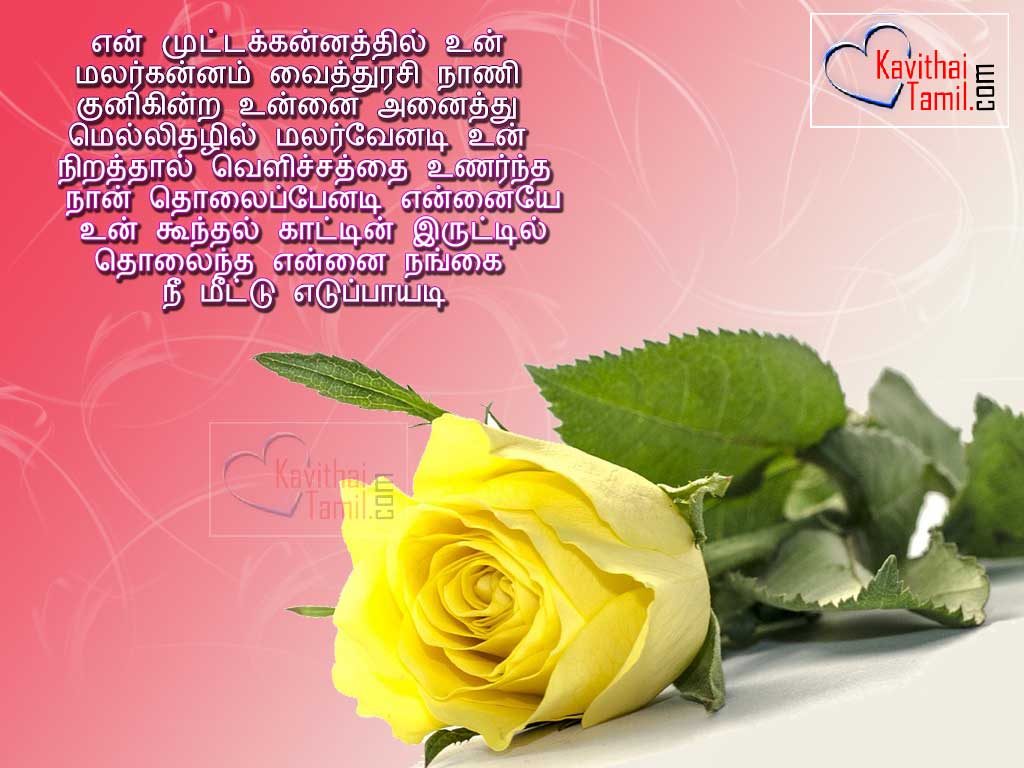 Most Beautiful Romantic Tamil Love Poem With Cute Yellow Rose Pictures For Share Your Love Feel With Your Beloved