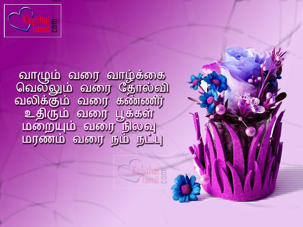 Superb Friendship Kavithaigal Images Colorful Background About Entrum Natpudan Need True And Real Friendship