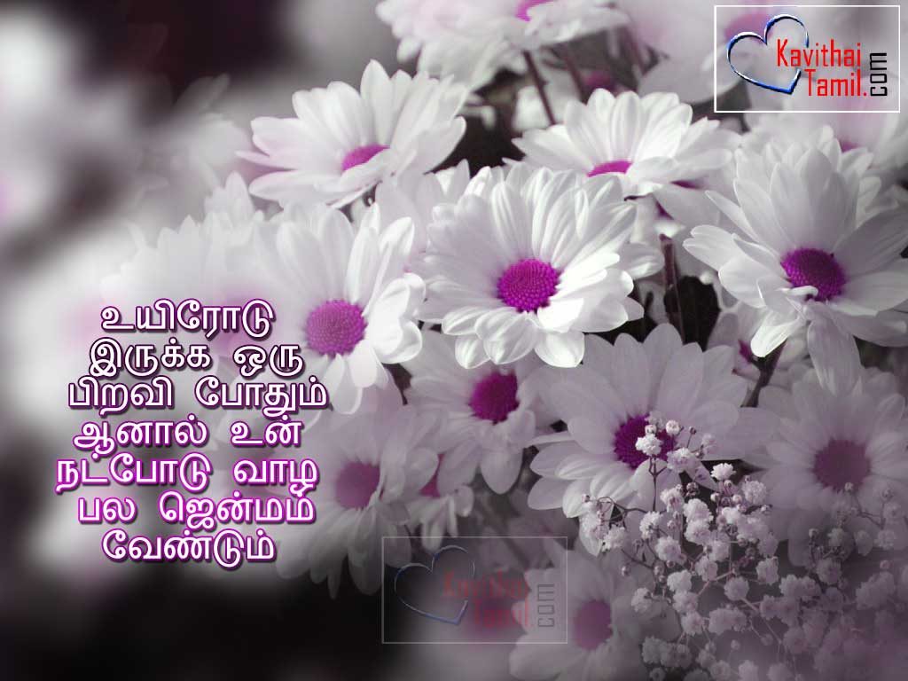 Azhagiya Natpu Tamil Kavithaigal Tamil Sms Tamil Messages Friendship Images For Friendship Day Facebook Status