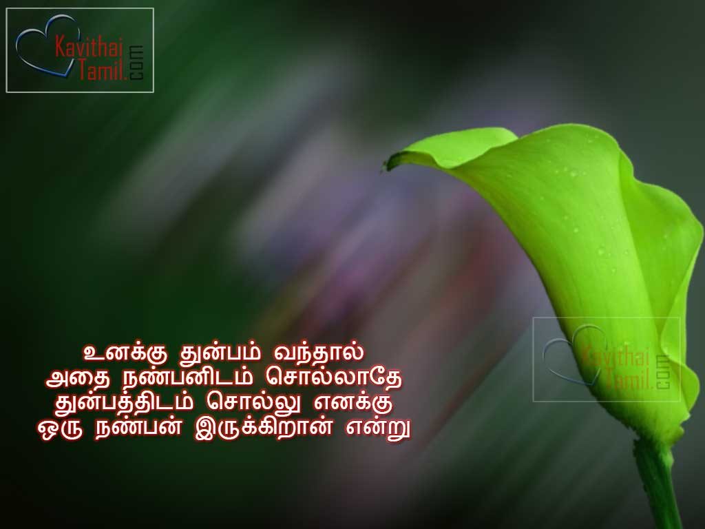 Best Friendship Tamil Quotations About The The Bond Of True Friendship With Hd Wallpapers Best Friendship Tamil Quotations About The The Bond Of True Friendship With Hd Wallpapers