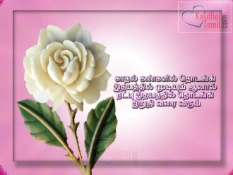 Tamil Best Quotes About True Friendship With High Quality Wallpapers For Share On Facebook Whatsapp