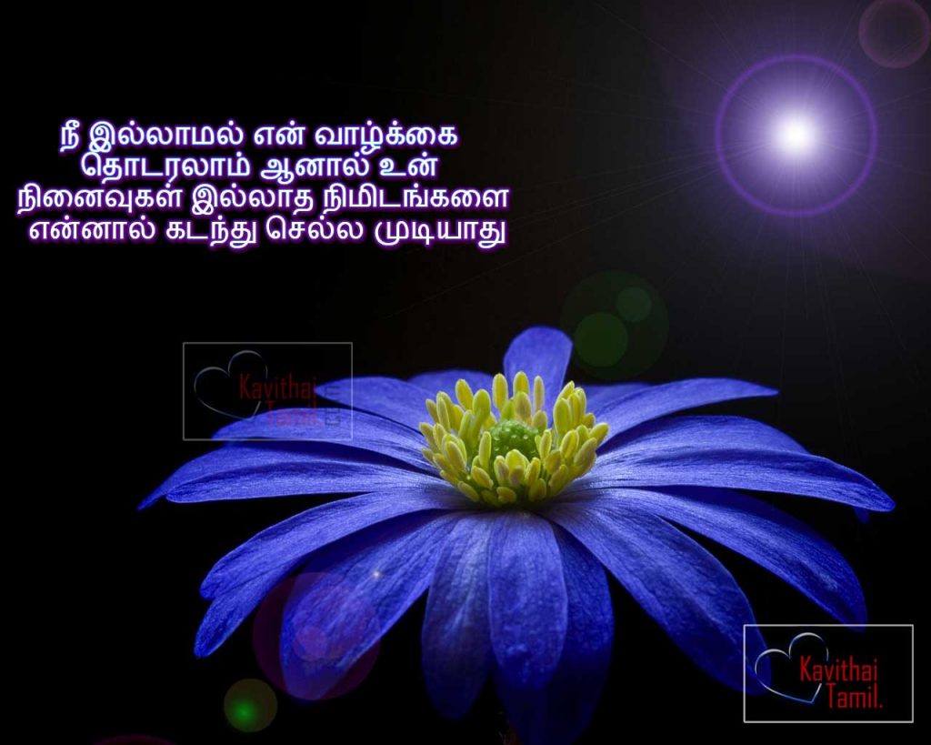 Latest Tamil Love Sad Feeling Messages Tamil Love Poems With Superb Hd Background Images