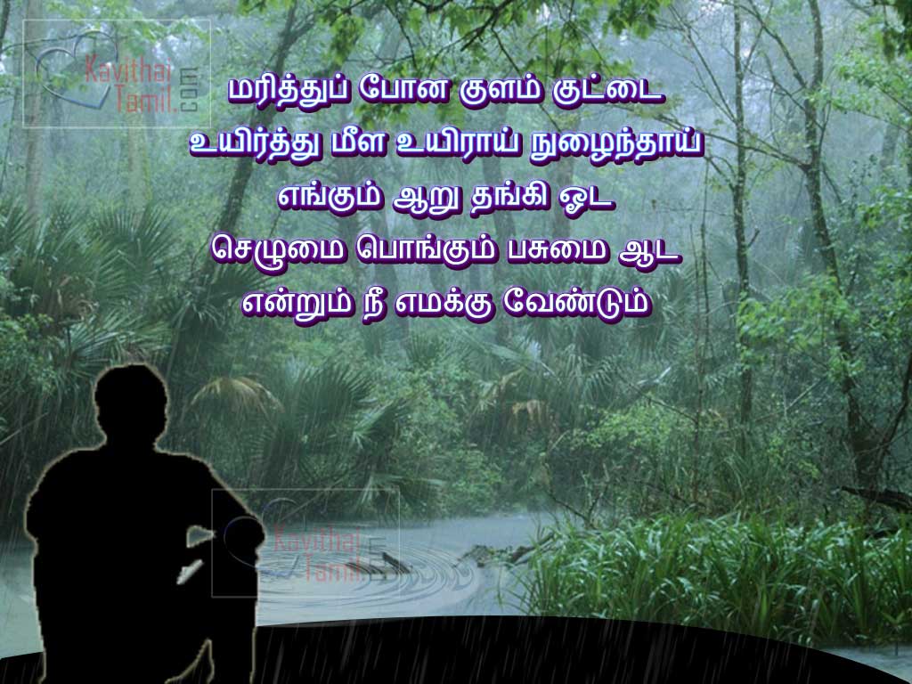 Beautiful Rain Quotes Mazhai Kavithai In Tamil Font And Language