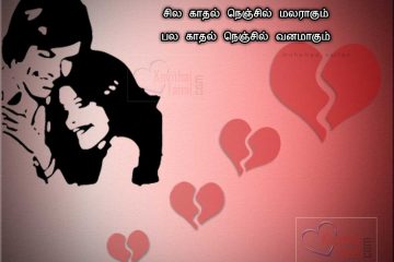 Mohamed Sarfan Heart Touching Tamil True Love Poems And Images For Share With Friends